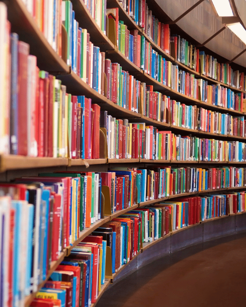 Bis zur Decke reichendes Bücherregal, Platzhalter für das Porträt von Elisabeth Botros